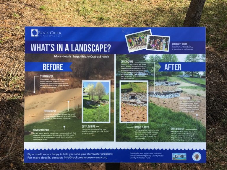 CA2 Rain Garden