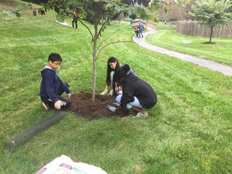 CA Volunteer Planting 10-14-2017