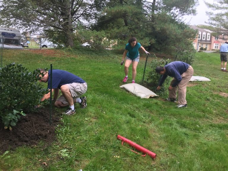 CA Volunteer Planting 10-14-2017