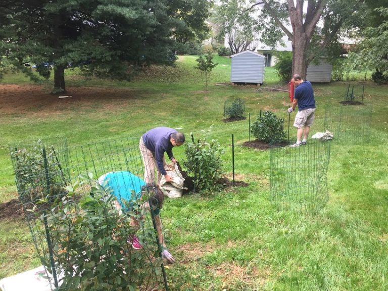 CA Volunteer Planting 10-14-2017